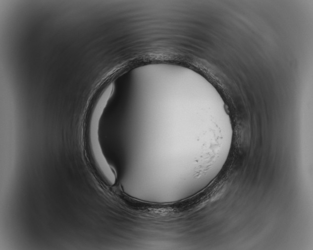 X0000094080446200711161610