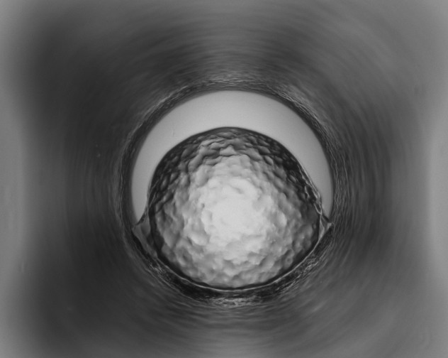 X0000094080448200711161610