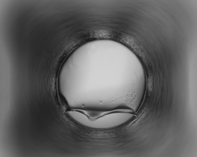 X0000094080449200711161610
