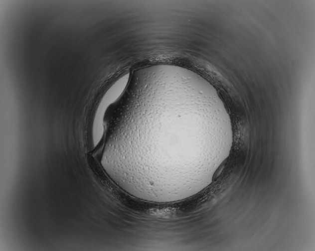 X0000094080452200711161610