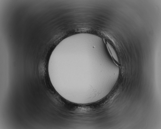 X0000094080455200711161611