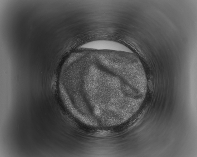 X0000094080458200711161611