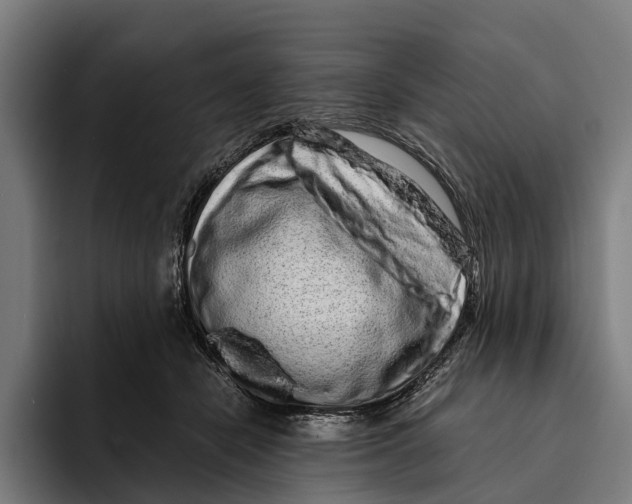 X0000094080462200711161611