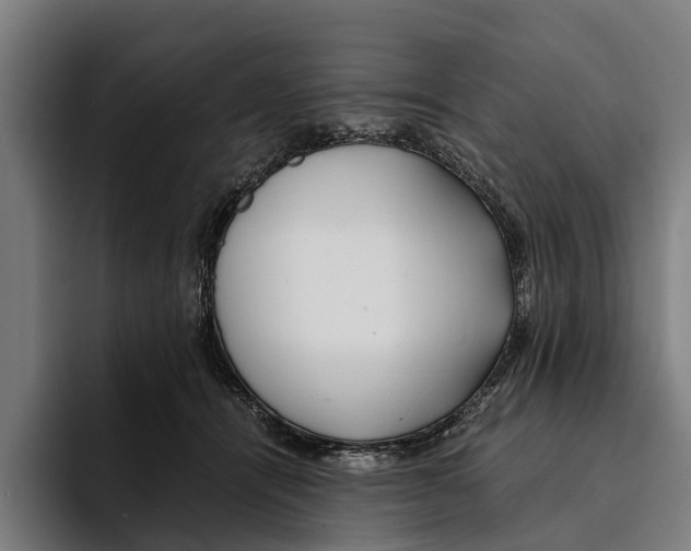 X0000094080464200711161611