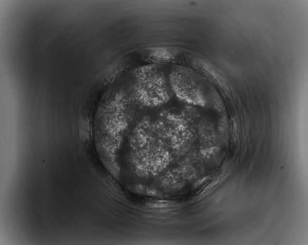 X0000094080467200711161611