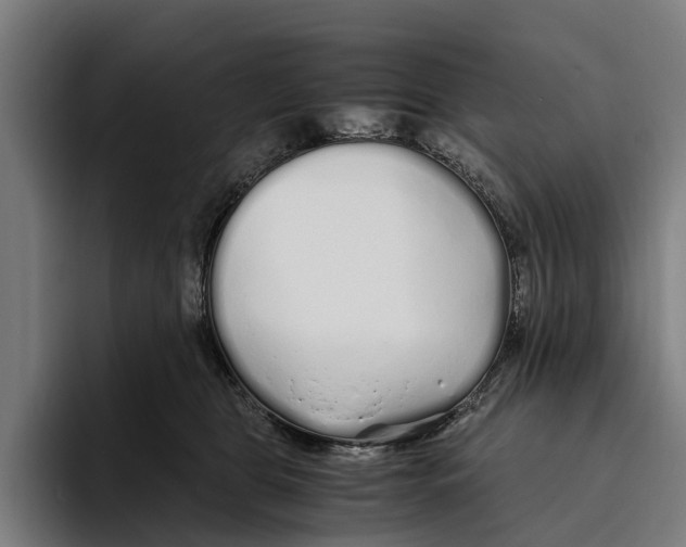 X0000094080469200711161611