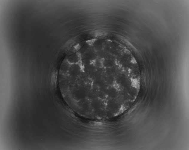 X0000094080475200711161611