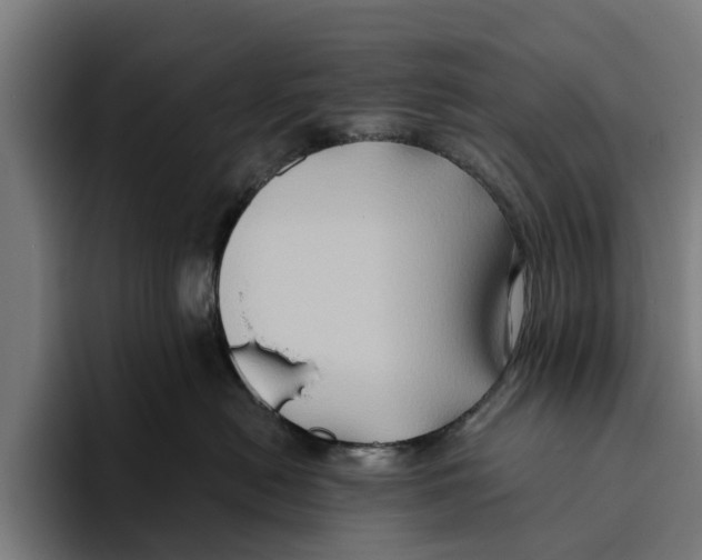 X0000094080478200711161611