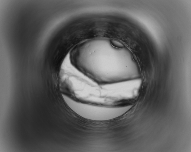 X0000094080479200711161611