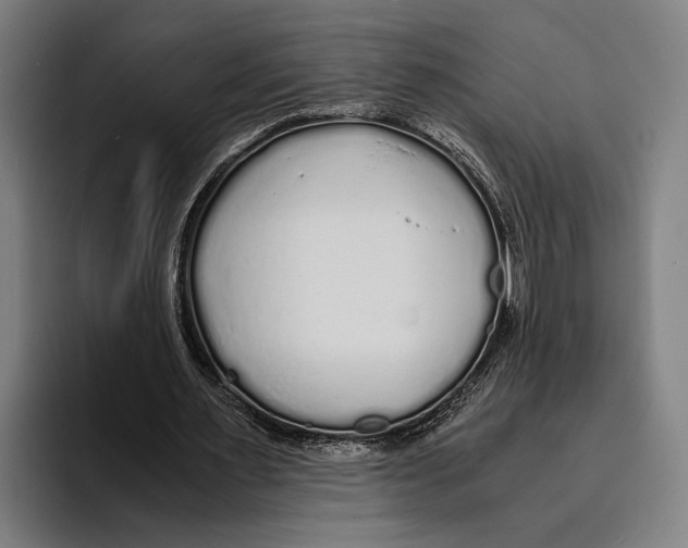 X0000094080483200711161610