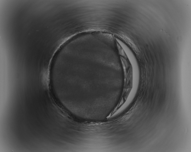 X0000094080484200711161610