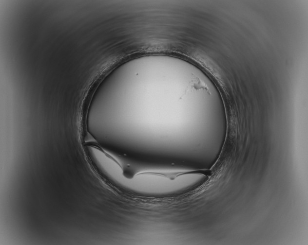 X0000094080485200711161610