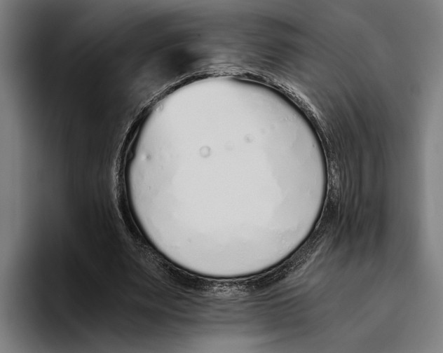 X0000094080487200711161610