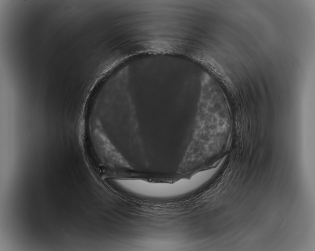 X0000094080488200711161610