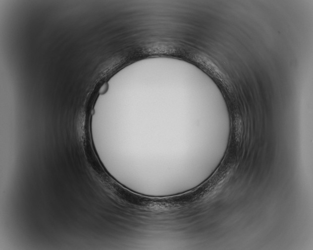 X0000094080490200711161610