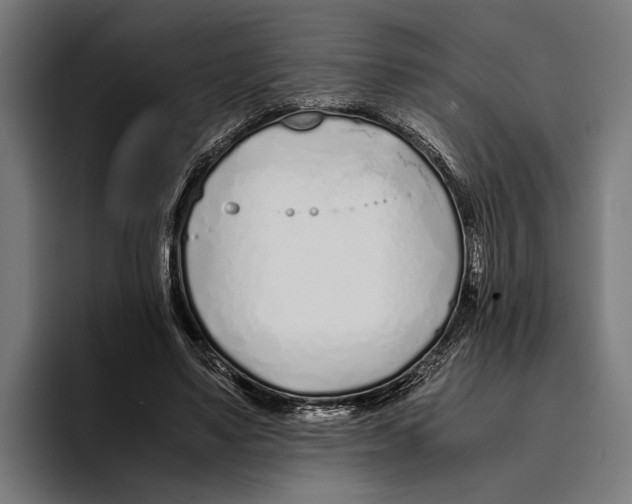X0000094080491200711161610