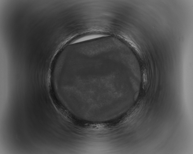 X0000094080492200711161610