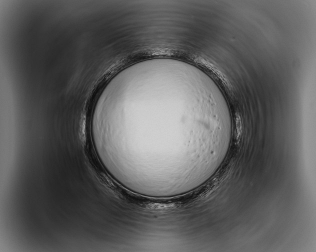 X0000094080494200711161610