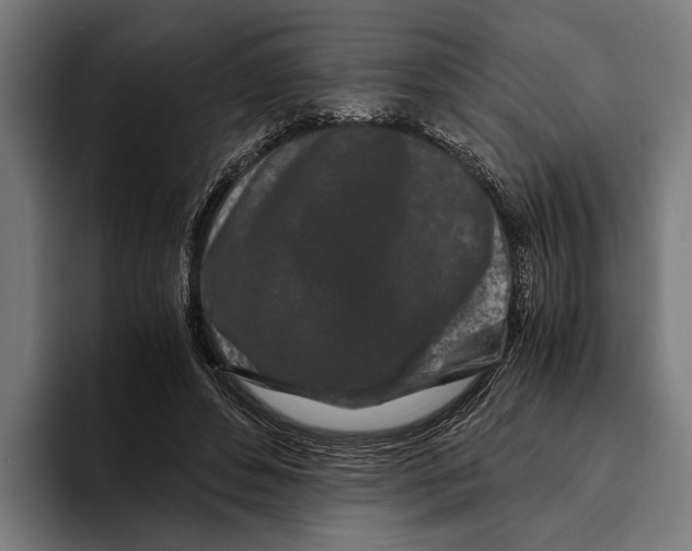 X0000094080496200711161610