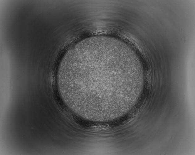 X0000094080499200711161610