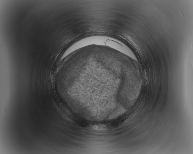 X0000094080500200711161610