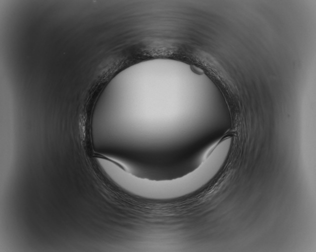 X0000094080501200711161610