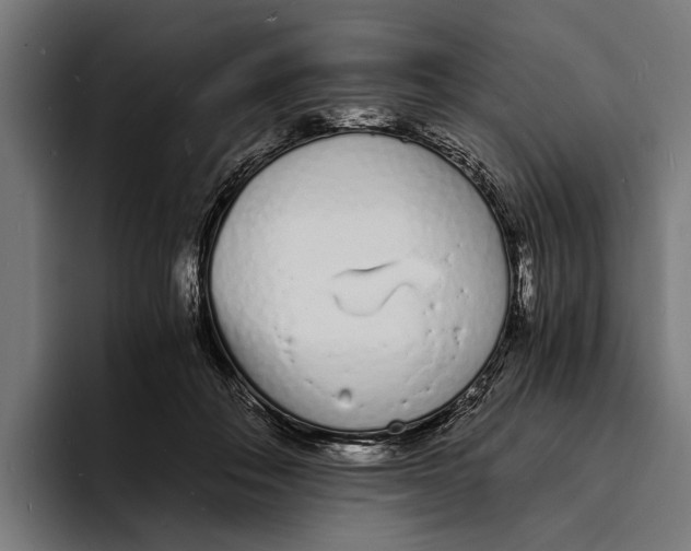 X0000094080506200711161610
