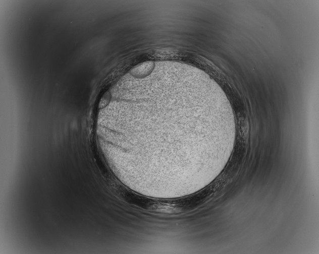 X0000094080507200711161610