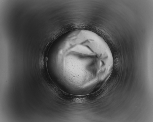 X0000094080508200711161610