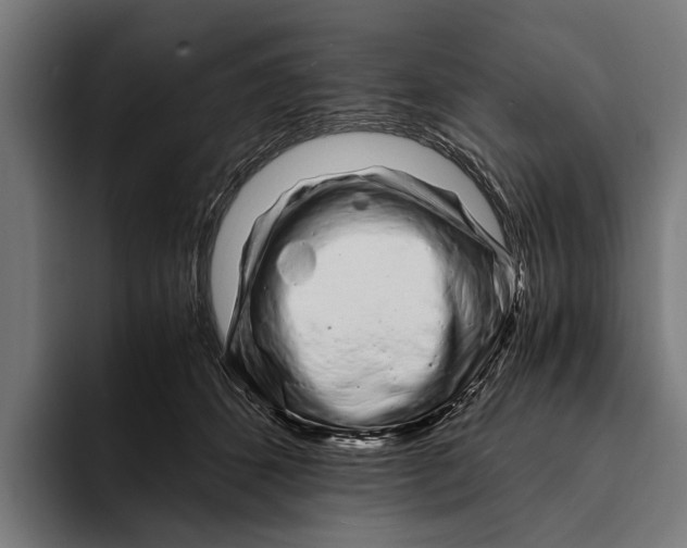 X0000094080512200711161610