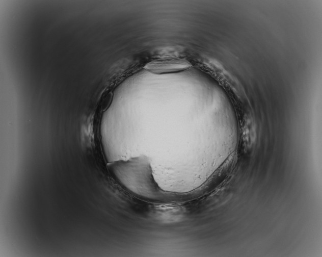 X0000094080516200711161610