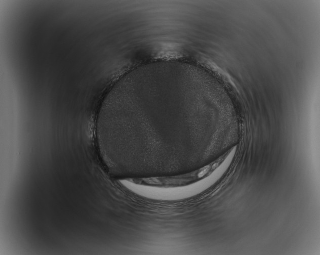 X0000094080517200711161610