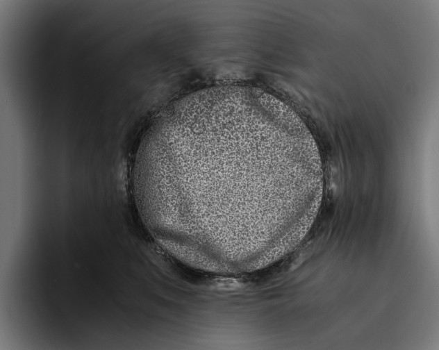 X0000094080519200711161610