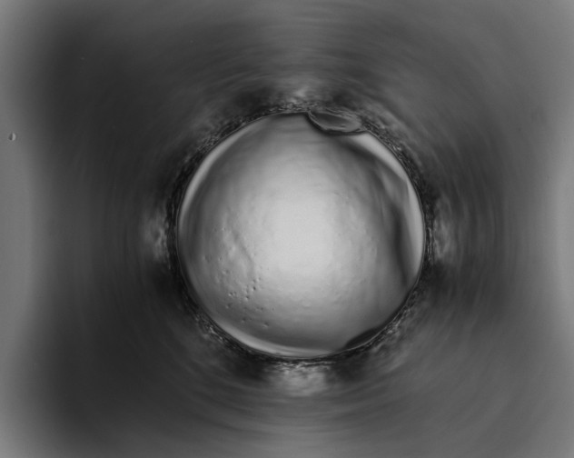 X0000094080520200711161610