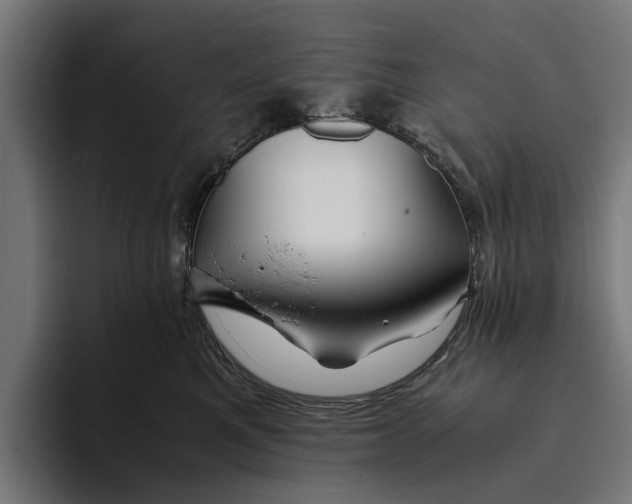 X0000094080521200711161610