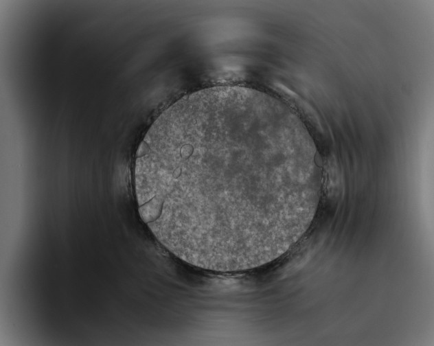 X0000094080523200711161610