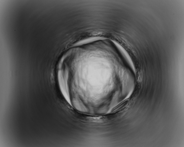 X0000094080524200711161610