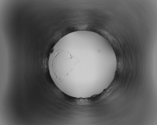 X0000094080525200711161610