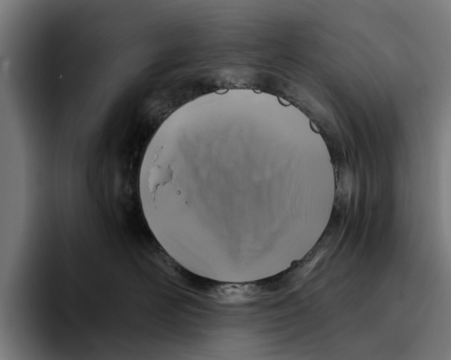 X0000094080526200711161610