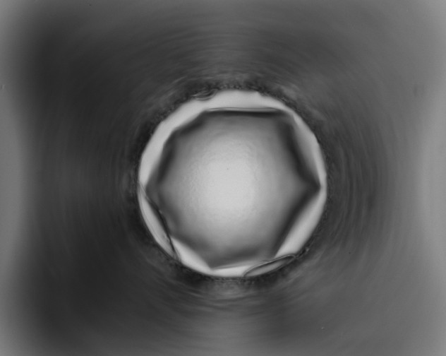 X0000094080528200711161610