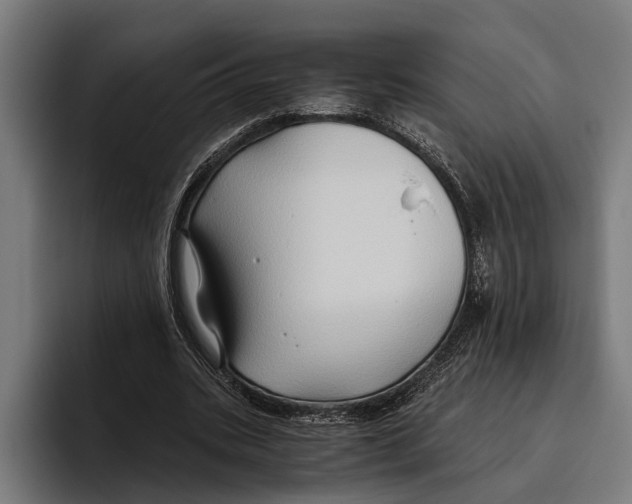 X0000094080535200711161609