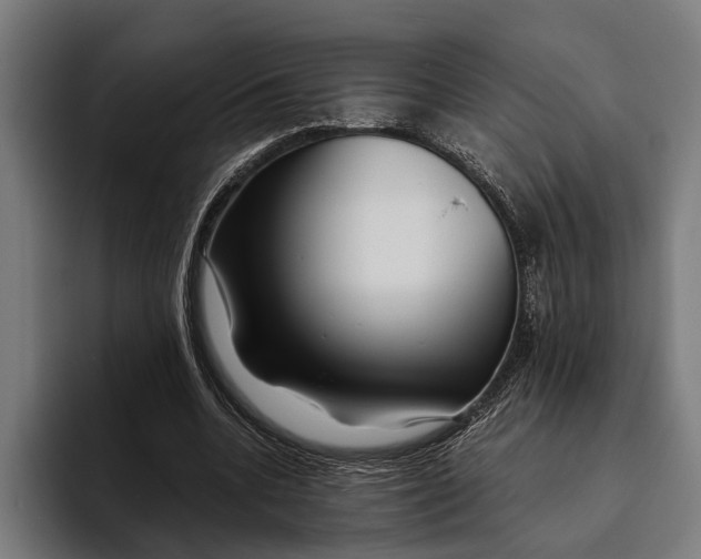 X0000094080536200711161609