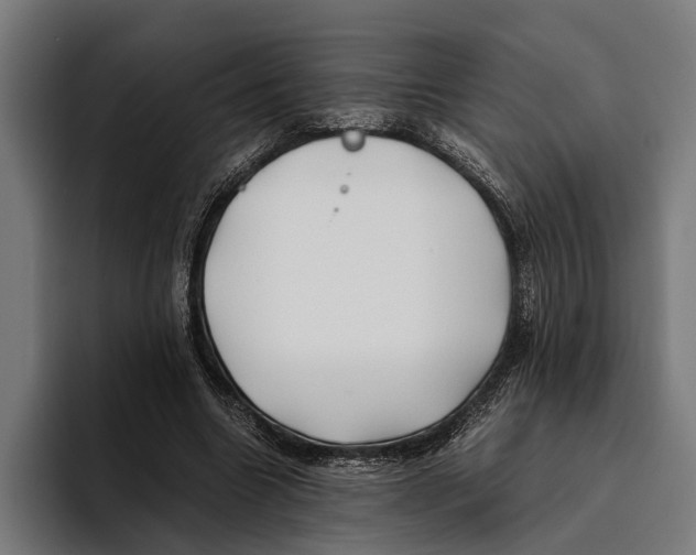 X0000094080538200711161609