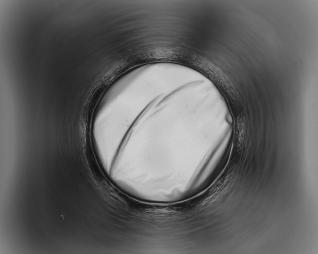 X0000094080542200711161609