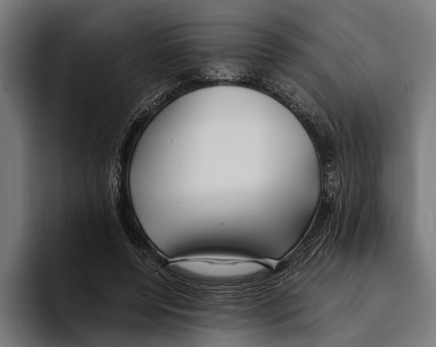 X0000094080544200711161609