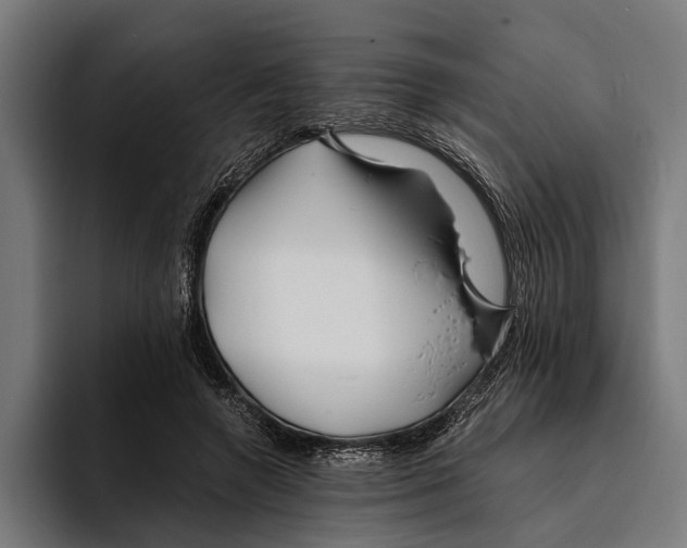 X0000094080546200711161609