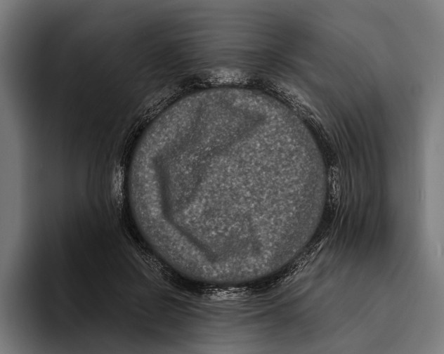 X0000094080550200711161609