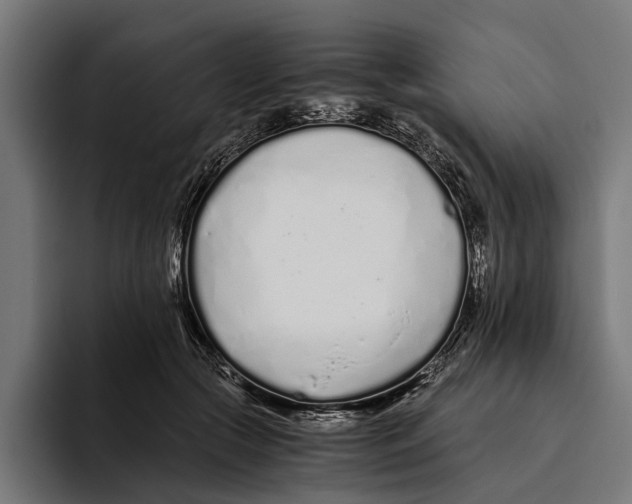 X0000094080553200711161609