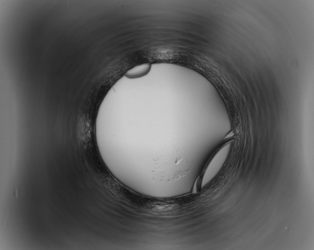 X0000094080555200711161609