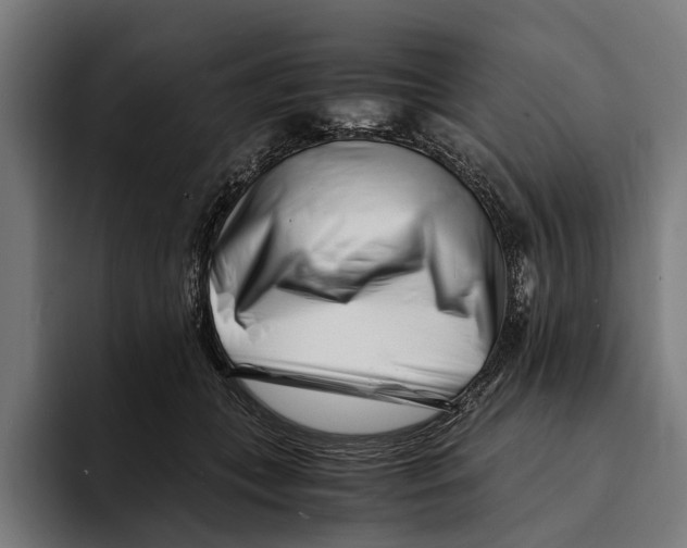 X0000094080559200711161609